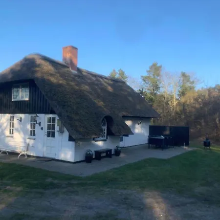 Semesterbostad 123-ringkobing-granalle-3 *